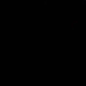 Meet your Posher, Rosa